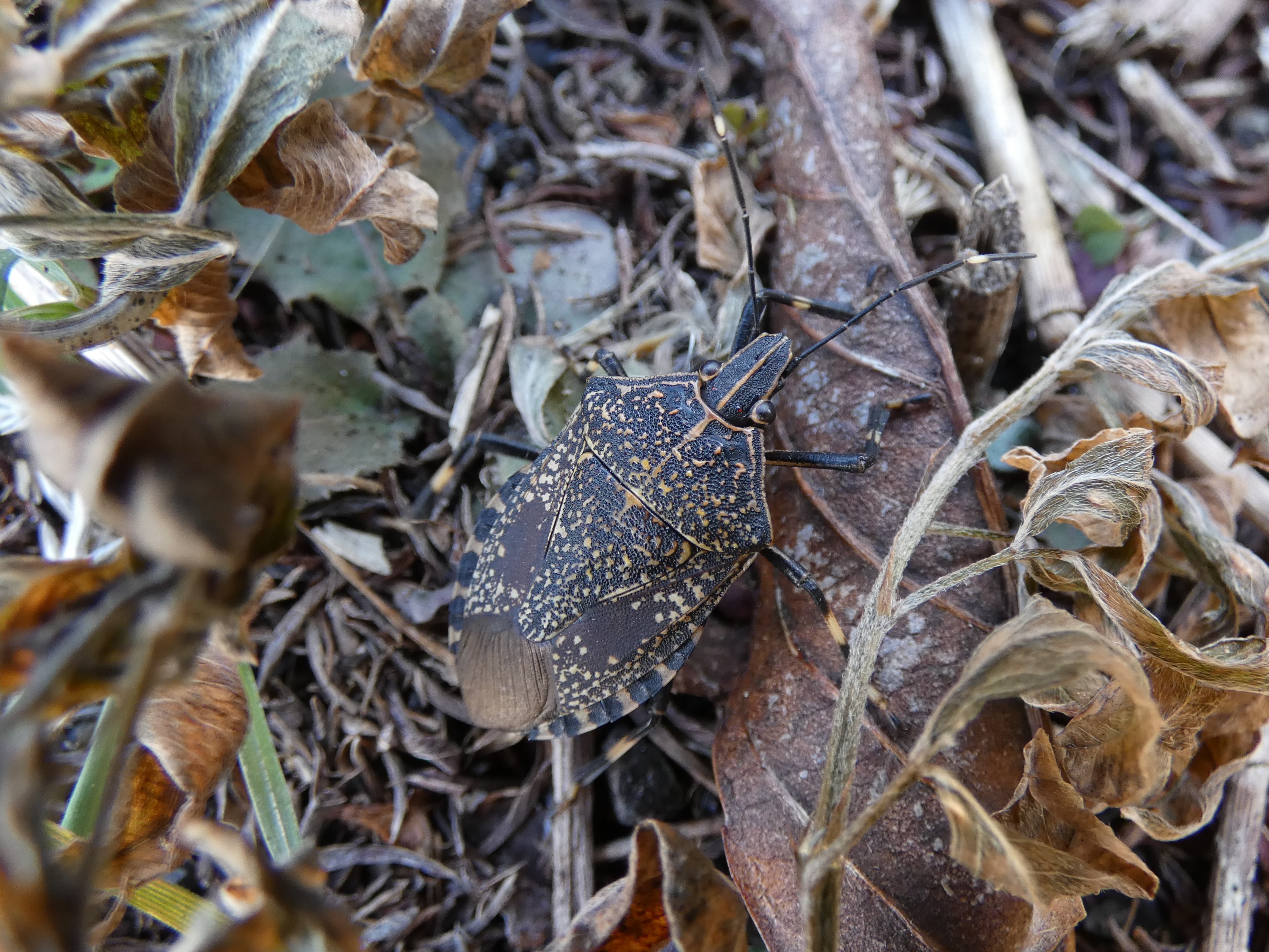 photo_5